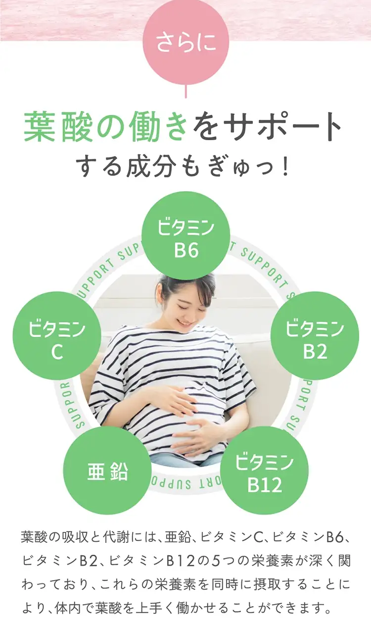 さらに葉酸の働きをサポート