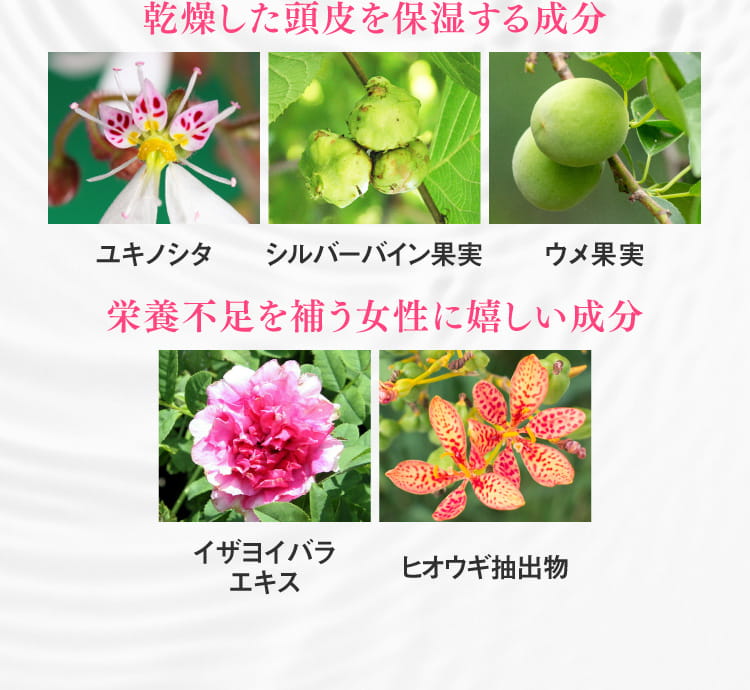 ベルタヘアローションがこんなにも選ばれる理由「POINT4 硬くなった頭皮環境に“うるおい”と“栄養補給”」