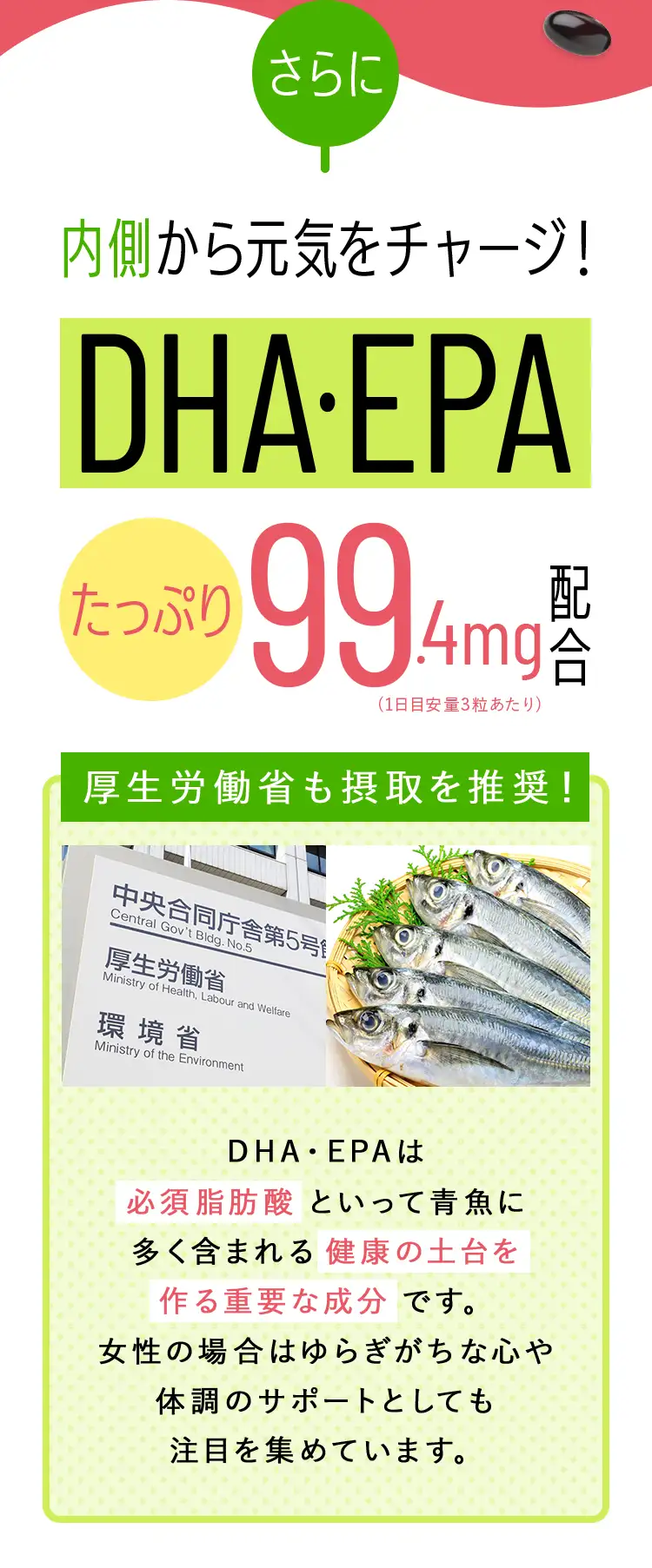 DHA・EPAたっぷり