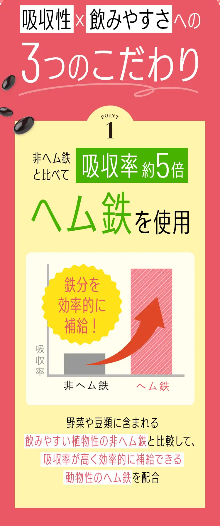 ポイント1ヘム鉄