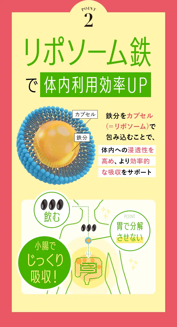 ポイント2リポソーム鉄