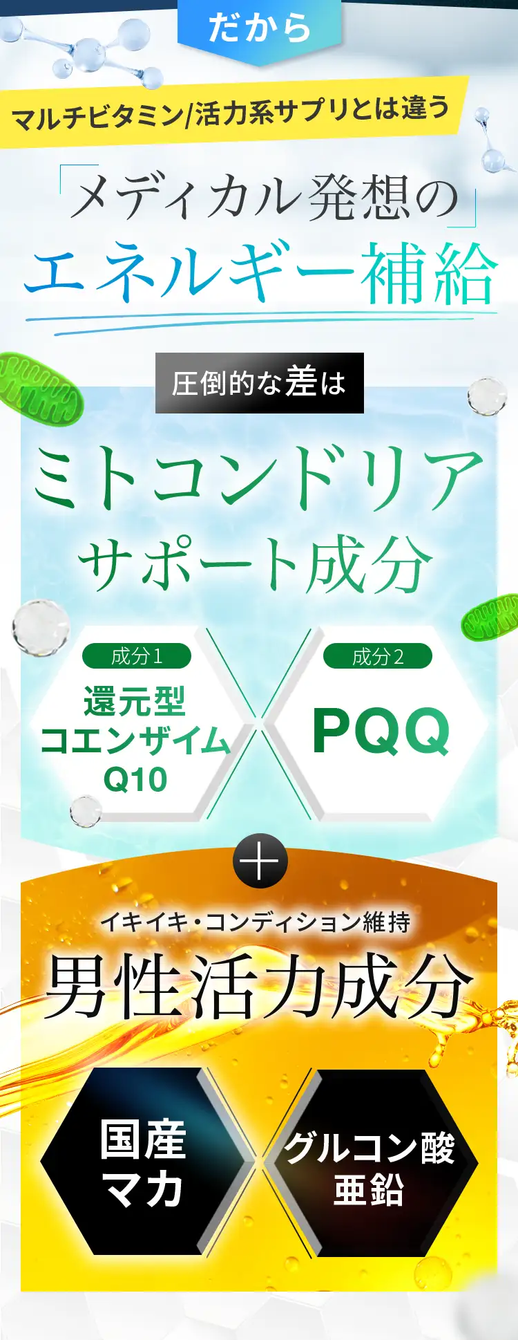 メディカル発想のエネルギー補給。ミトコンドリアサポート成分×男性活力成分