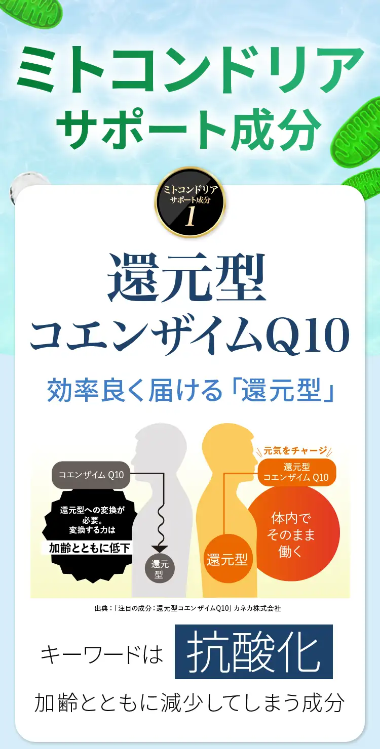 ミトコンドリアサポート成分1：還元型コエンザイムQ10