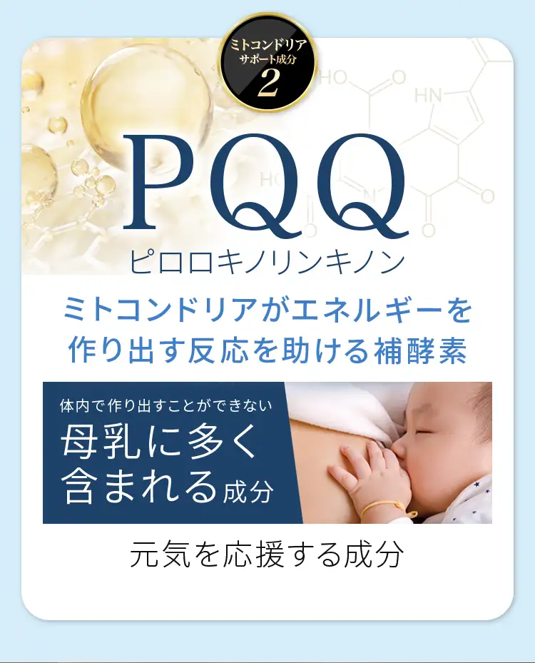 ミトコンドリアサポート成分2：PQQピロロキノリンキノン