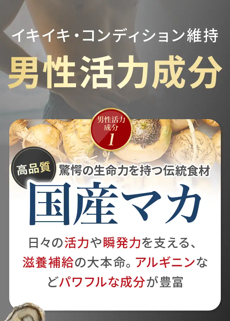 男性活力成分1：高品質な国産マカ