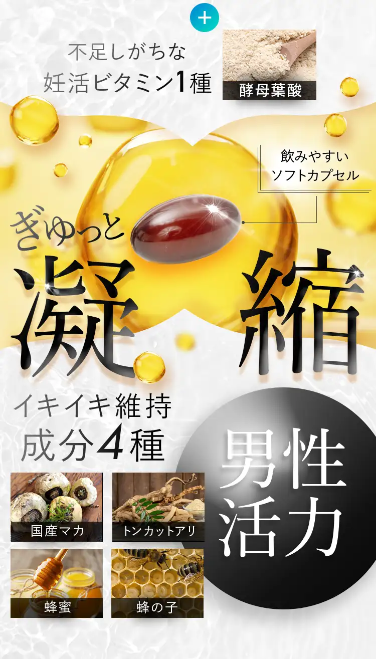 妊活ビタミン酵母葉酸1種+イキイキ維持男性活力成分4種